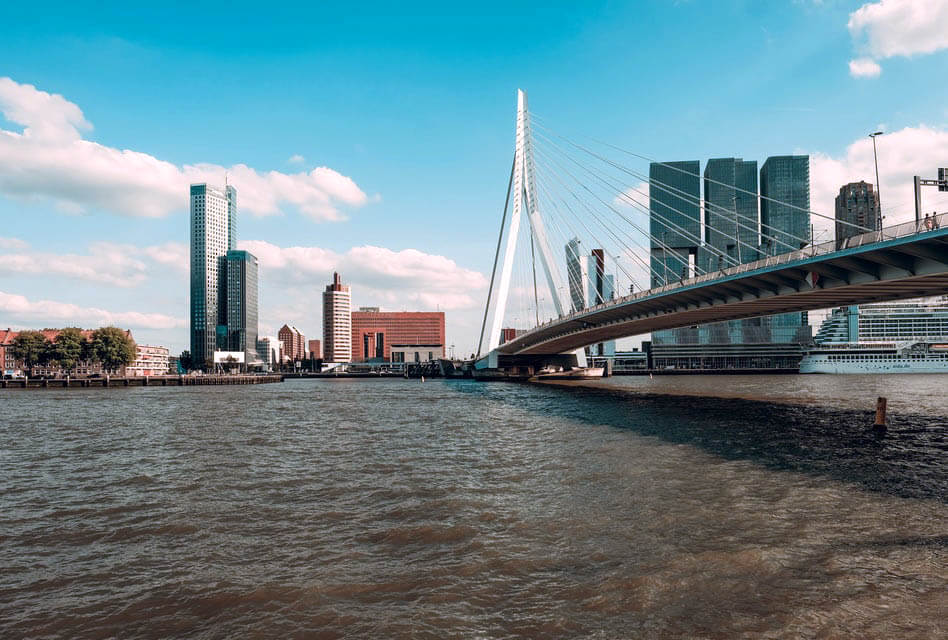 erasmusbrug bridge rotterdam