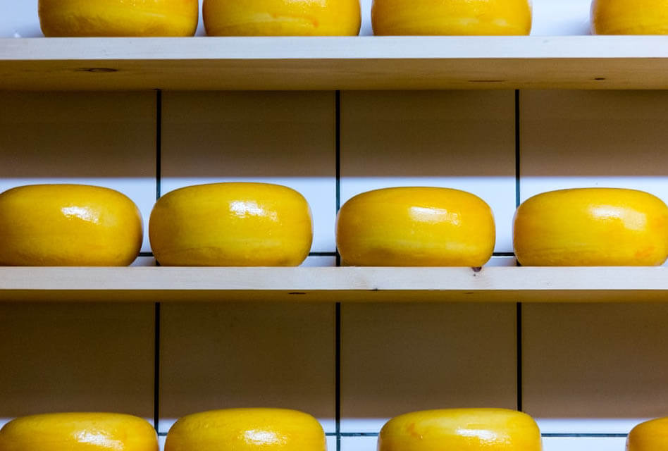 cheeses amsterdam holland