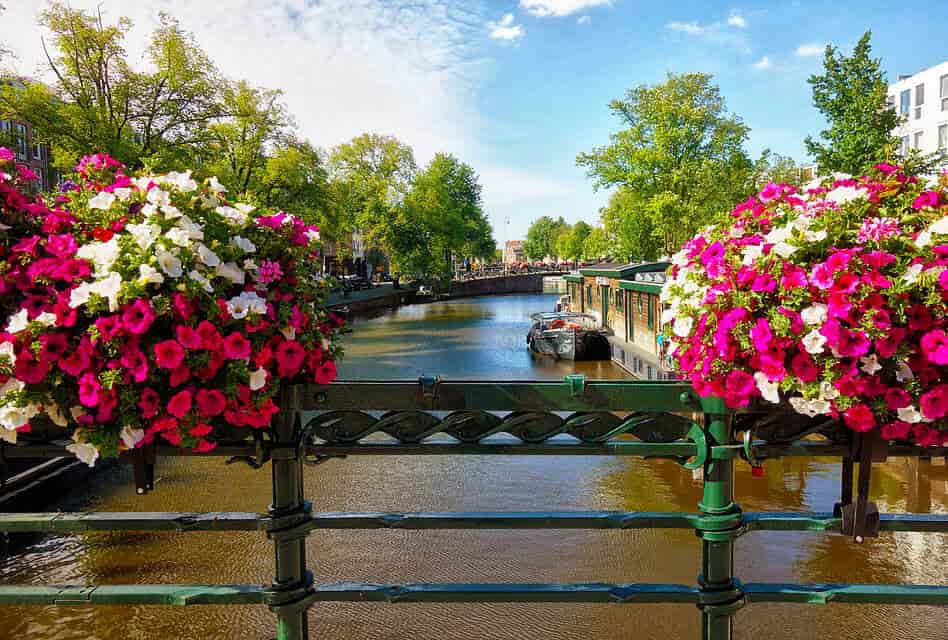 flowers on bridge over Amsterdam canal