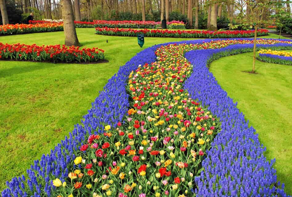 Keukenhof Gardens