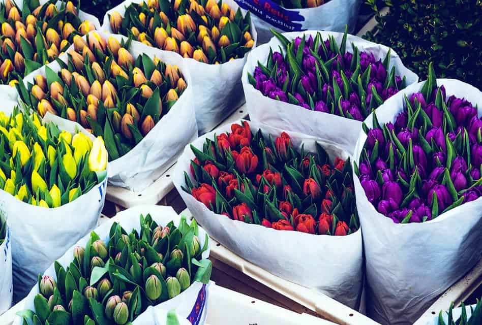 flower market in amsterdam