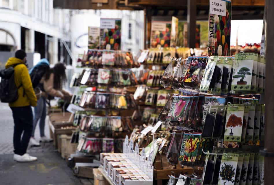 amsterdam flower market