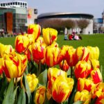 Hotels near Van Gogh Museum Amsterdam