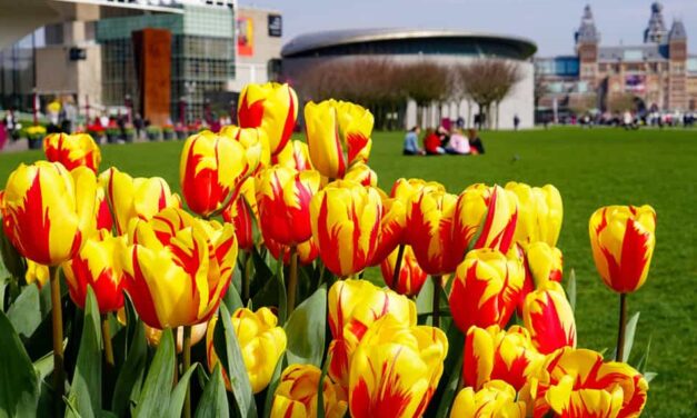 Hotels near Van Gogh Museum Amsterdam