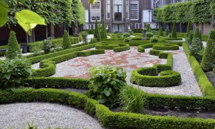 Open Garden Days Amsterdam