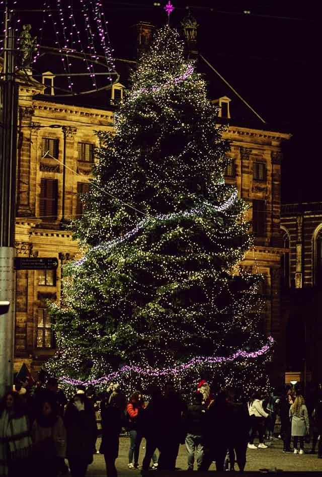 christmas-amsterdam-damsquare-tree