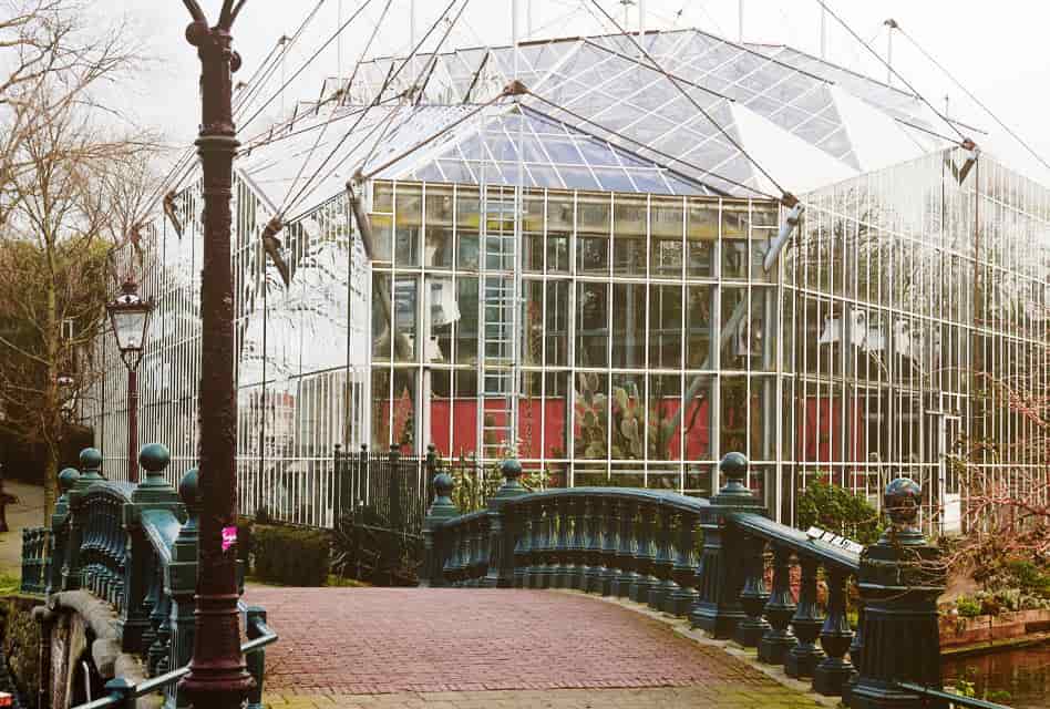 amsterdam-hortus-botanicus-outside