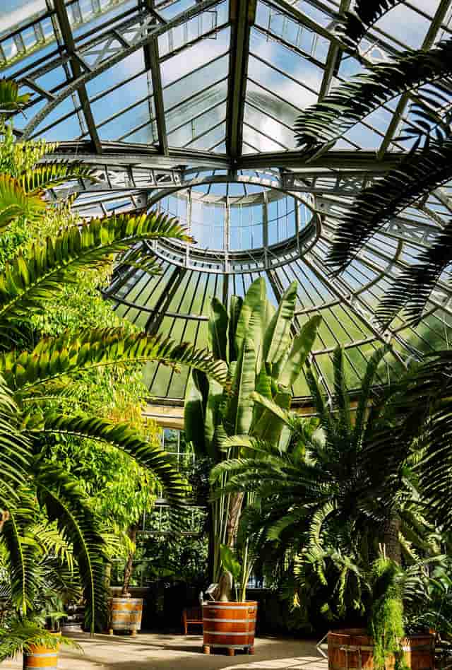 Relax and get in touch with nature at Hortus Botanicus Amsterdam