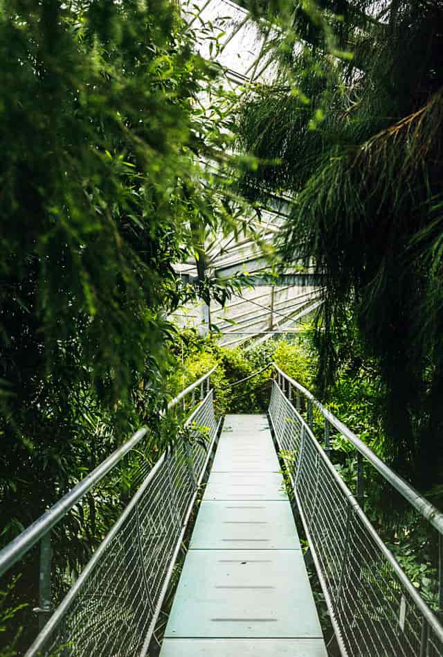 amsterdam-hortus-botanicus-skywalk