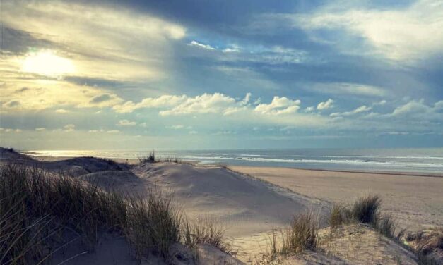 Zandvoort Beach