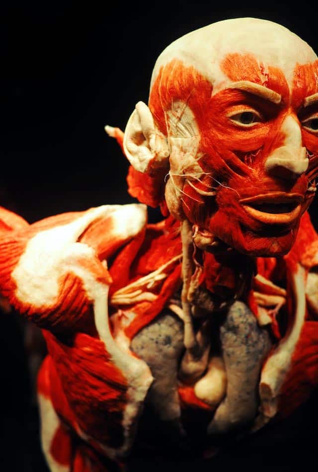 body world attraction amsterdam