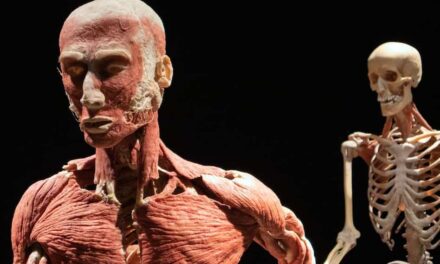 Body Worlds Amsterdam