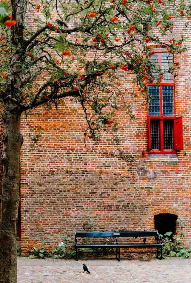 muiderslot castle windows