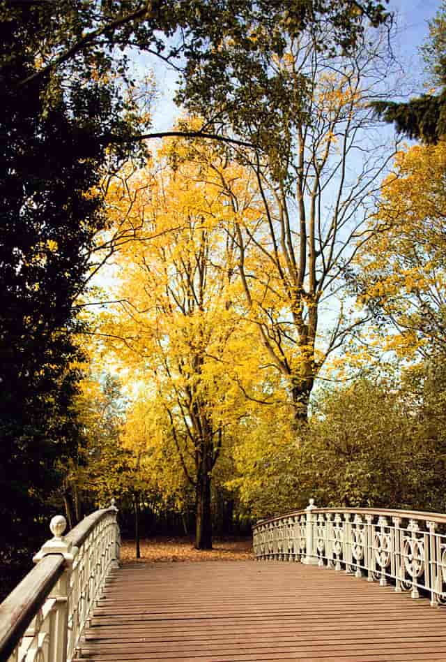 vondelpark bridge