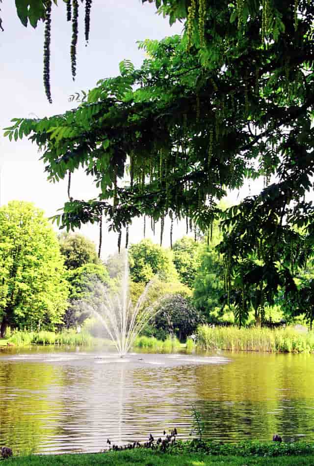 vondelpark pond and fountain