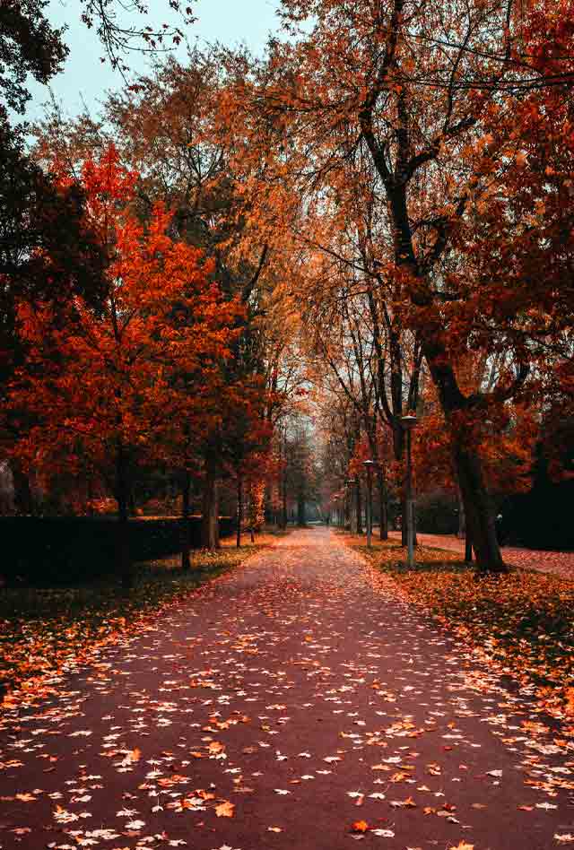 beatrix park in autumn