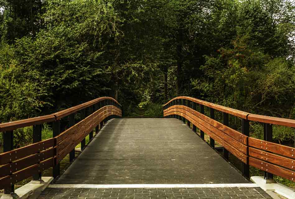 beatrixpark bridge