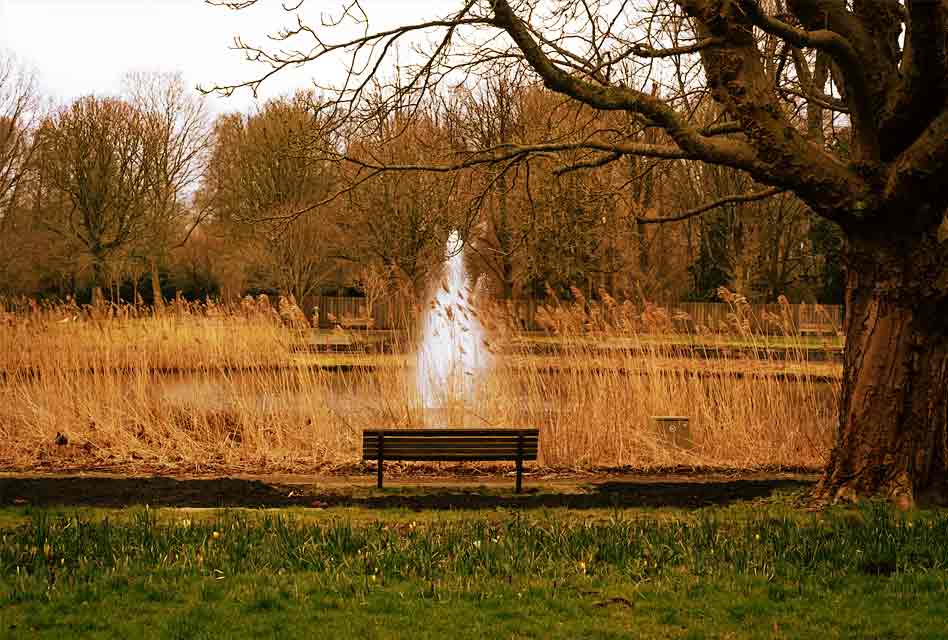 beatrixpark fountain