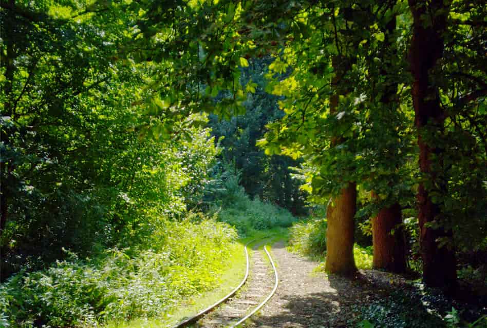 amstelpark amsterdam