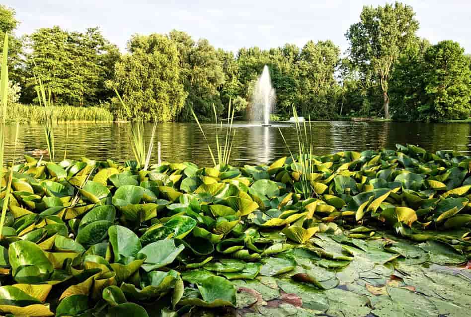 amstelpark amsterdam