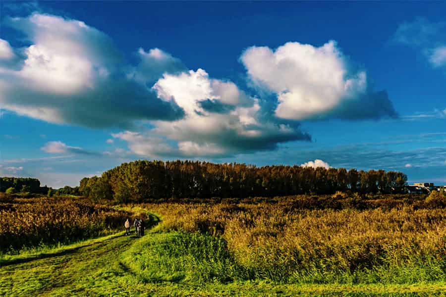 almere nature reserve