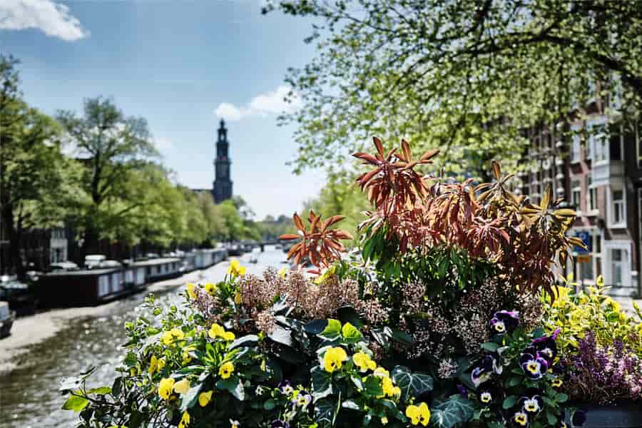 westerkerk on skyline